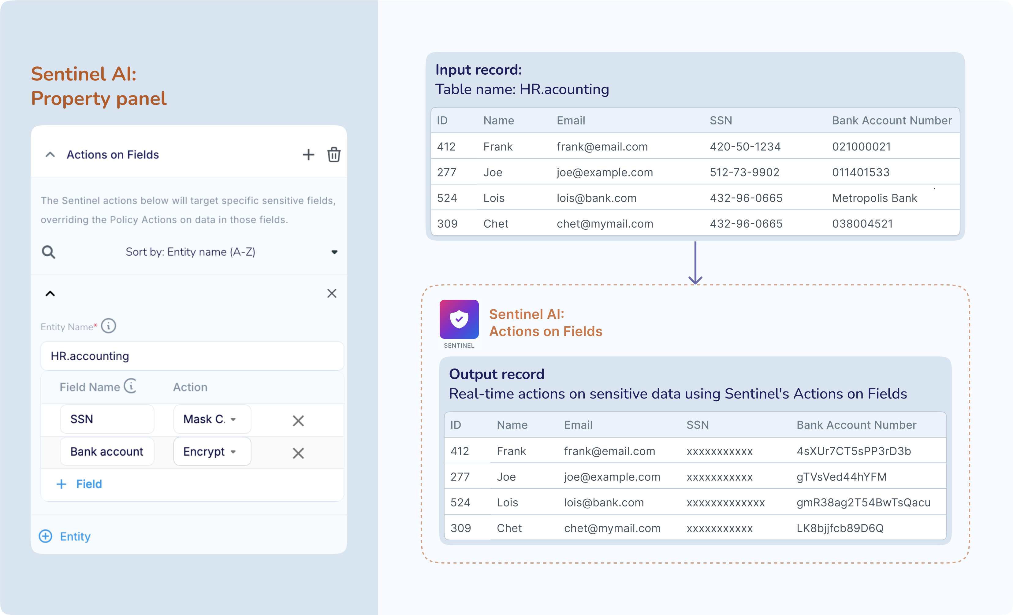 sentinel-concepts-actions-fields-520.png