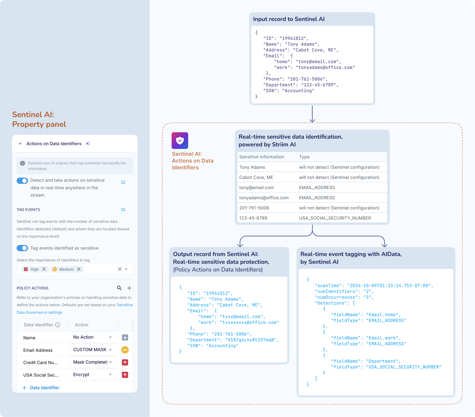 sentinel-concept-actions-data-identifiers-v5-520.png