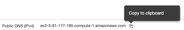 Displays how to copy the public DNS IP address for the EC2 instance you created, by selecting the Copy to clipboard option at the top of the right column on the Description tab at the bottom of the page.